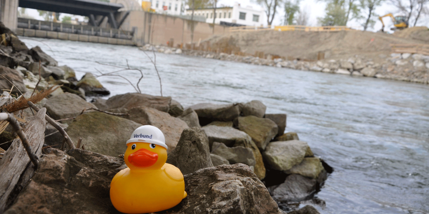 Ente Doris sitzt vor einem Fluss.