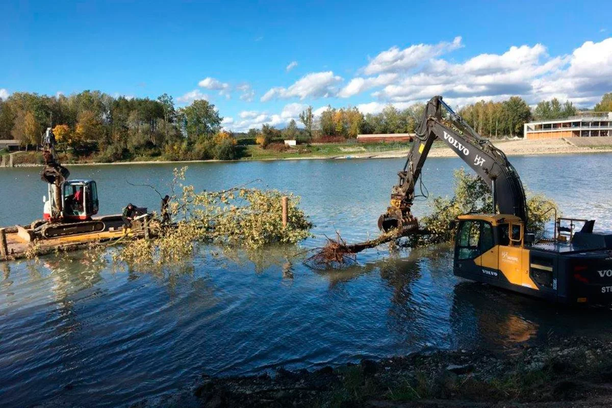 Totholzstrukturen als Unterstand und Laichhabitat für Donaufische im Donaualtarm bei Ottensheim