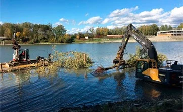 Totholzstrukturen als Unterstand und Laichhabitat für Donaufische im Donaualtarm bei Ottensheim