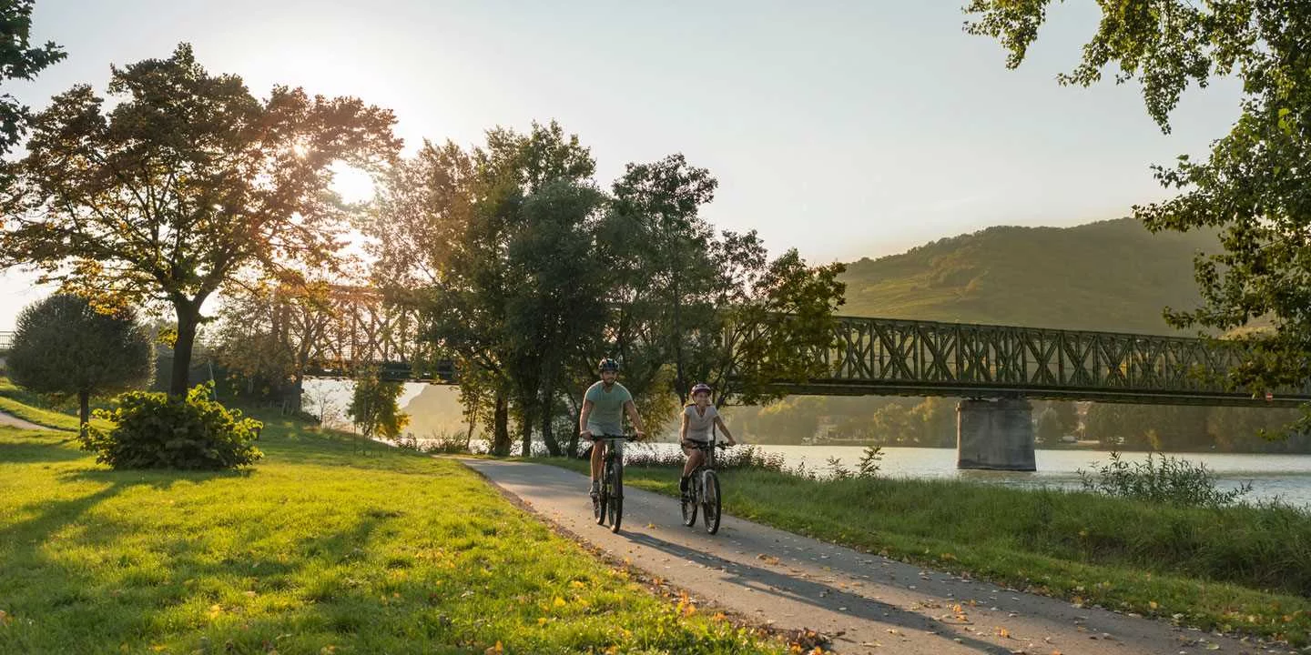 Zwei Radfahrer fahren auf dem Donauradweg in Niederösterreich entlang.