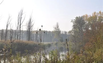 Morgennebel und Herbststimmung über dem Fluss Traisen