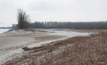Schotterbank der Traisen-Mündung in winterlicher Kälte